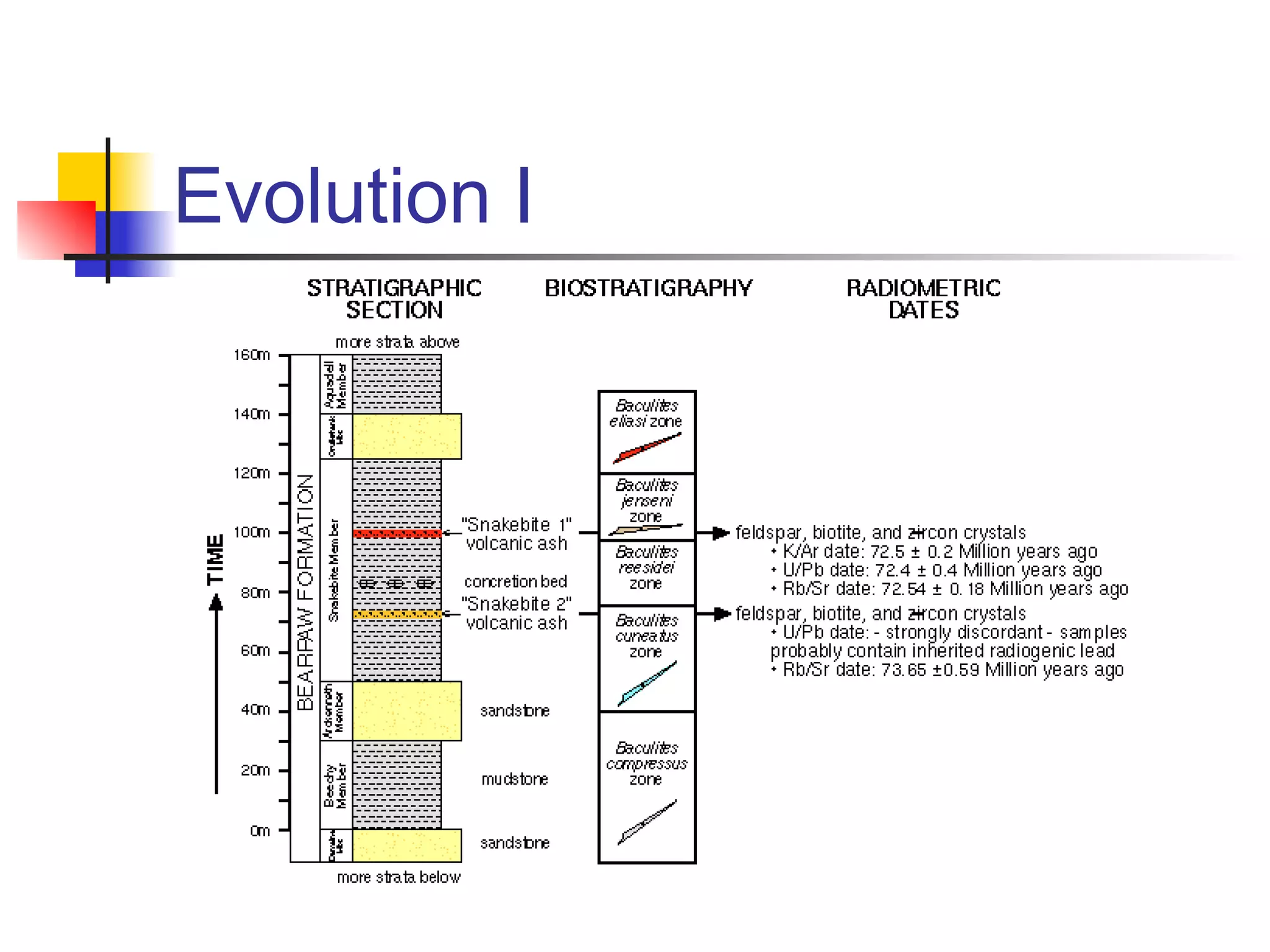 Evolution I
 