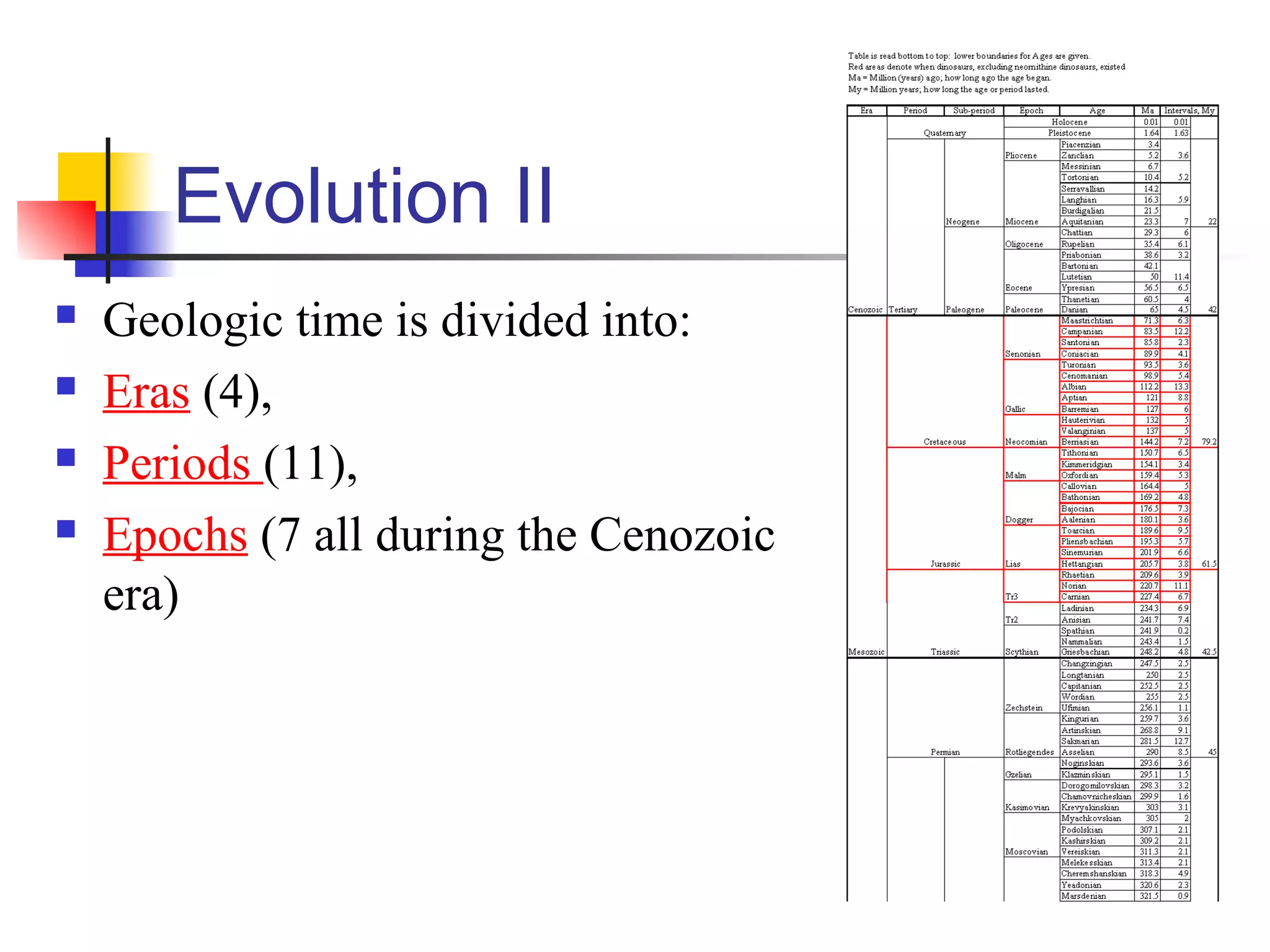 Evolution II
 Geologic time is divided into:
 Eras (4),
 Periods (11),
 Epochs (7 all during the Cenozoic
era)
 