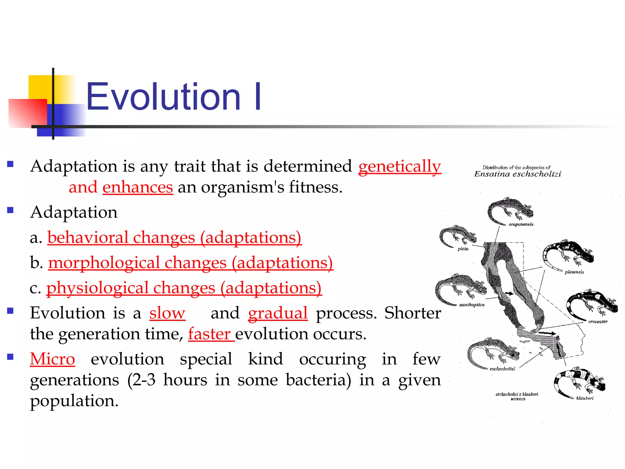 Evolution I
 Adaptation is any trait that is determined genetically
and enhances an organism's fitness.
 Adaptation
a. behavioral changes (adaptations)
b. morphological changes (adaptations)
c. physiological changes (adaptations)
 Evolution is a slow and gradual process. Shorter
the generation time, faster evolution occurs.
 Micro evolution special kind occuring in few
generations (2-3 hours in some bacteria) in a given
population.
 