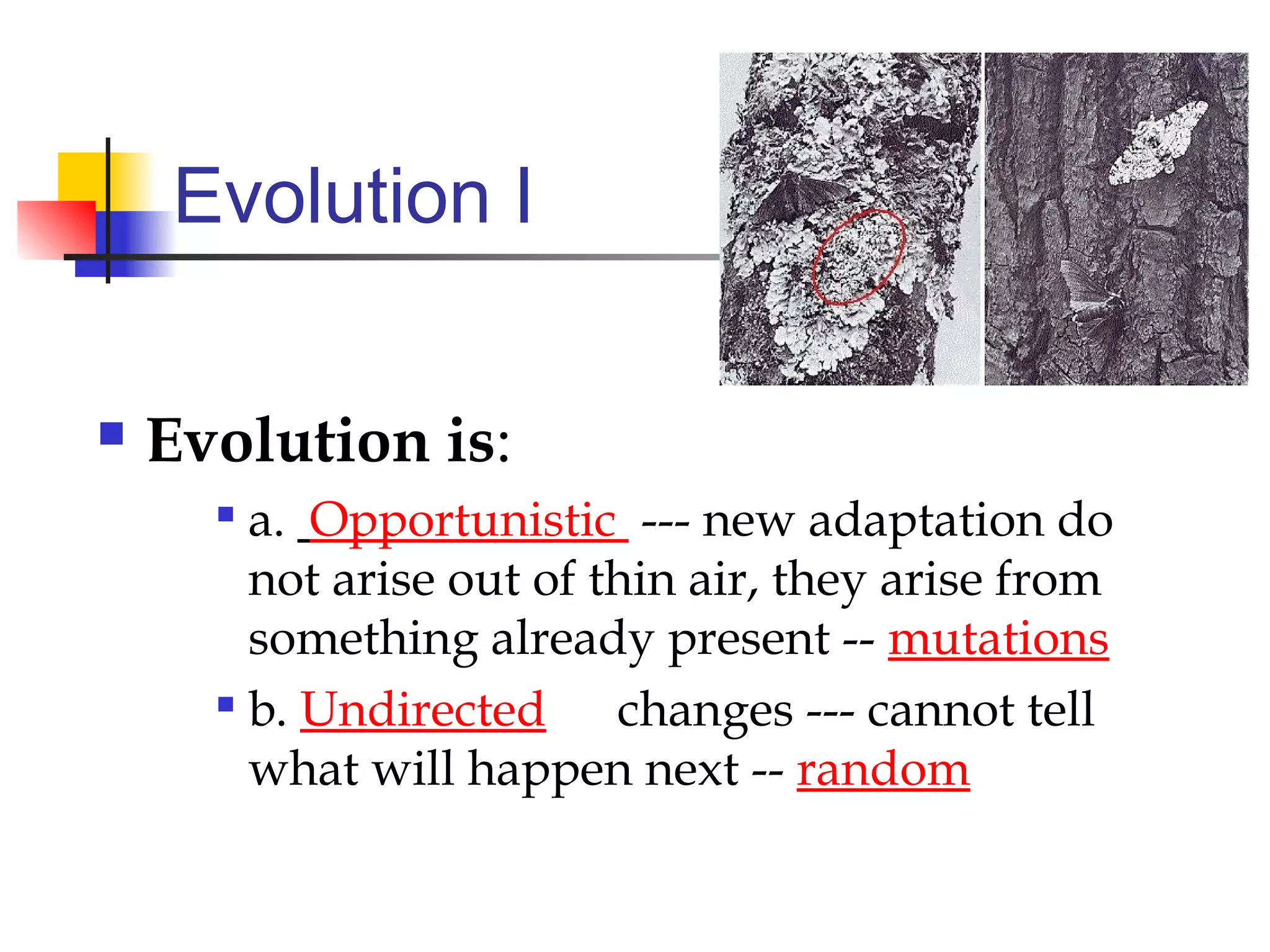Evolution I
 Evolution is:

a. Opportunistic --- new adaptation do
not arise out of thin air, they arise from
something already present -- mutations

b. Undirected changes --- cannot tell
what will happen next -- random
 