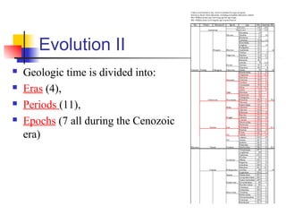 Evolution II
 Geologic time is divided into:
 Eras (4),
 Periods (11),
 Epochs (7 all during the Cenozoic
era)
 