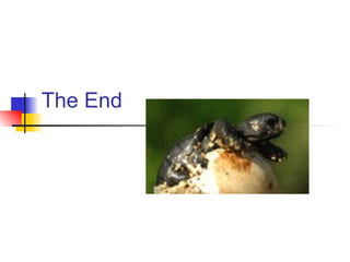 The End
 