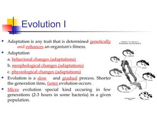 Evolution I
 Adaptation is any trait that is determined genetically
and enhances an organism's fitness.
 Adaptation
a. behavioral changes (adaptations)
b. morphological changes (adaptations)
c. physiological changes (adaptations)
 Evolution is a slow and gradual process. Shorter
the generation time, faster evolution occurs.
 Micro evolution special kind occuring in few
generations (2-3 hours in some bacteria) in a given
population.
 