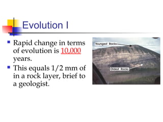 Evolution I
 Rapid change in terms
of evolution is 10,000
years.
 This equals 1/2 mm of
in a rock layer, brief to
a geologist.
 