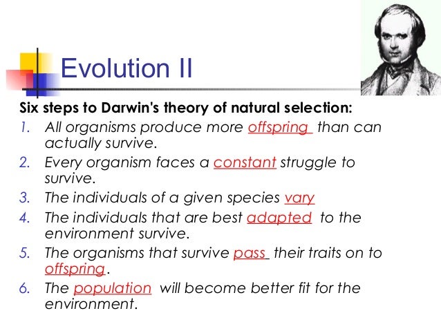 Darwin S Six Steps Of Natural Selection Darwin S Six Steps Of Natural Selection