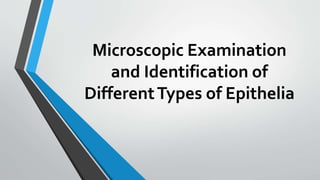 Microscopic Examination
and Identification of
DifferentTypes of Epithelia
 