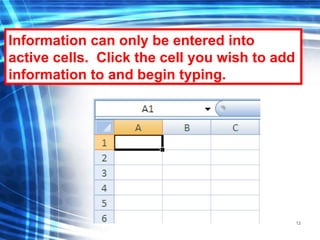 12
Information can only be entered into
active cells. Click the cell you wish to add
information to and begin typing.
 