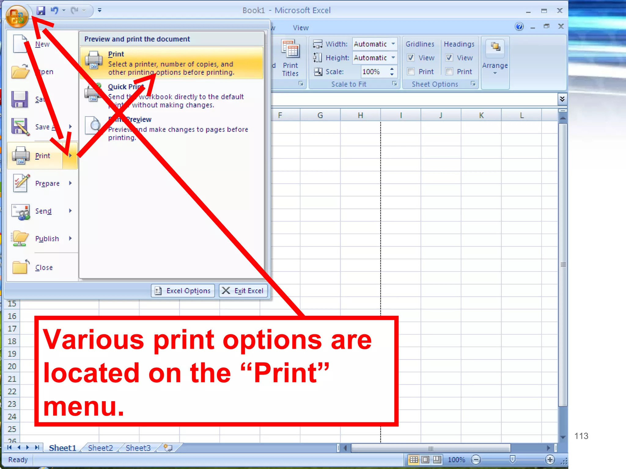Various print options are located on the “Print” menu.  