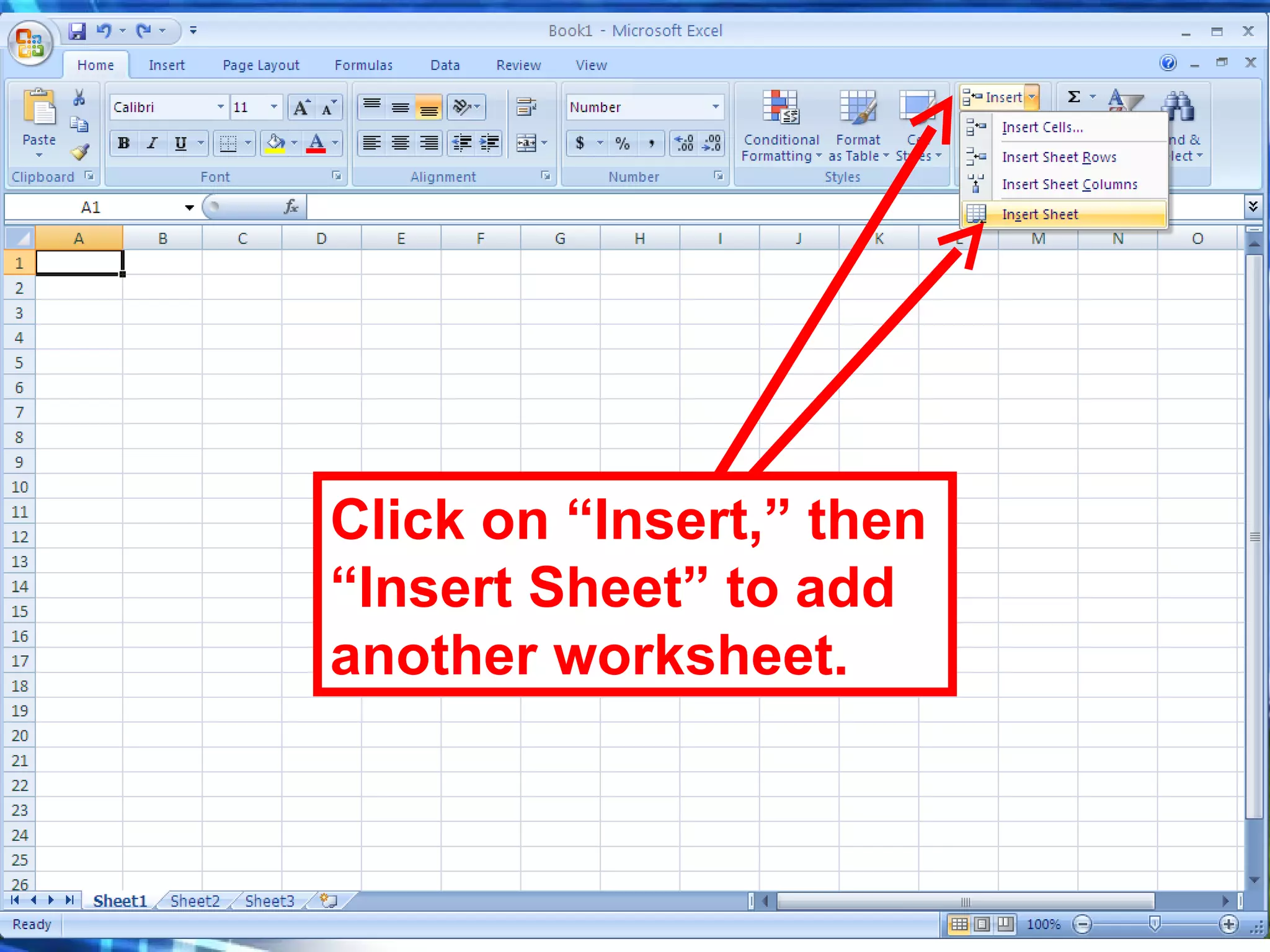 Click on “Insert,” then “Insert Sheet” to add another worksheet. 