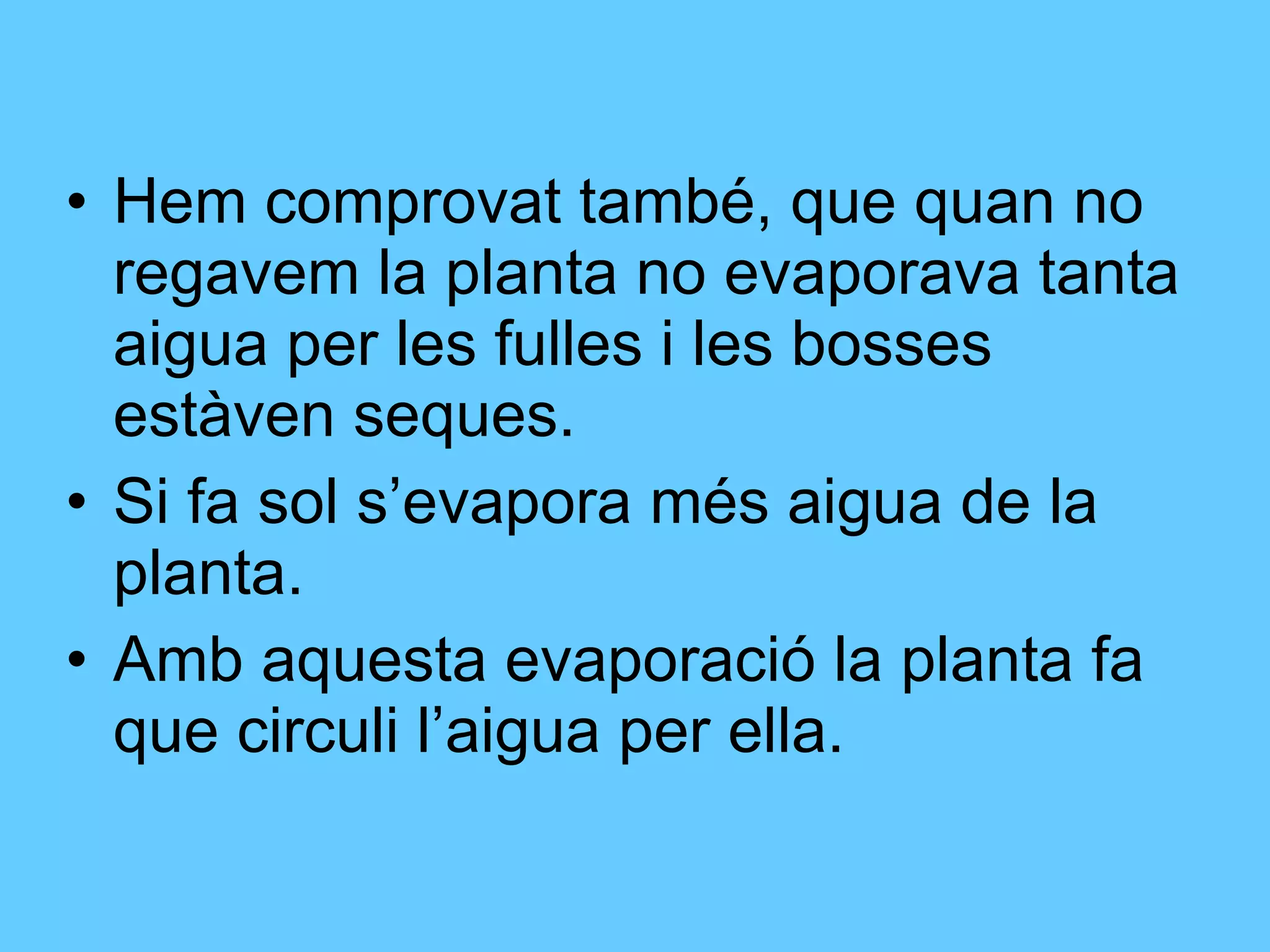 Hem comprovat també, que quan no regavem la planta no evaporava tanta aigua per les fulles i les bosses estàven seques. Si fa sol s’evapora més aigua de la planta. Amb aquesta evaporació la planta fa que circuli l’aigua per ella. 