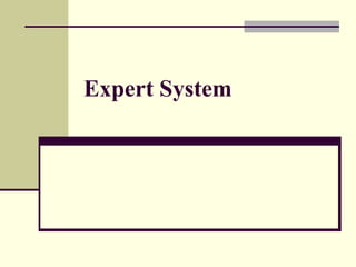 Expert System
 