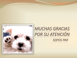 MUCHAS GRACIASPOR SU ATENCIÓNSOFOS PAK