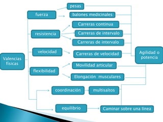 pesasfuerzabalones medicinalesCarreras continuaresistenciaCarreras de intervaloCarreras de intervaloAgilidad o potenciavelocidadCarreras de velocidadValencias físicasMovilidad articular flexibilidadElongación  muscularescoordinaciónmultisaltosequilibrioCaminar sobre una línea