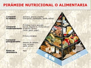 PIRÁMIDE NUTRICIONAL O ALIMENTARIA