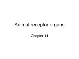 Animal receptor organs Chapter 14 