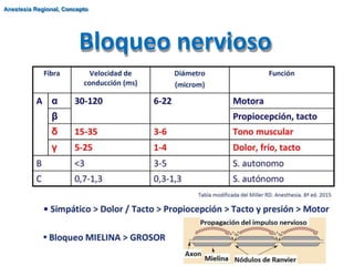 Bloqueo nervioso
Anestesia Regional, Concepto
 