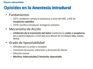 • Fundamentos
– 1971, Goldstein señala la existencia a nivel del SNC y ME de
receptores opioides
– 1979, morfina intradural: Analgesia selectiva
• Mecanismo de Acción
– Inhibición de la trasmisión del dolor mediante la unión a receptores
pre y postsinapticos a nivel del asta dorsal de la médula (mu, kappa,
delta)
• Grado de liposolubilidad
– Afinidad por su unión a receptor
– Comienzo de acción, extensión y duración de efecto
– Difusión rostral
– Morfina: hidrosoluble// fentanilo: liposoluble
Opioides en la Anestesia intradural
Bloqueo subaracnoideo
 