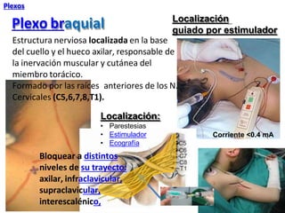 Plexo braquial Localización
guiado por estimulador
Corriente <0.4 mA
• Parestesias
• Estimulador
• Ecografía
Bloquear a distintos
niveles de su trayecto:
axilar, infraclavicular,
supraclavicular,
interescalénico,
Estructura nerviosa localizada en la base
del cuello y el hueco axilar, responsable de
la inervación muscular y cutánea del
miembro torácico.
Formado por las raíces anteriores de los N.
Cervicales (C5,6,7,8,T1).
Localización:
Plexos
 