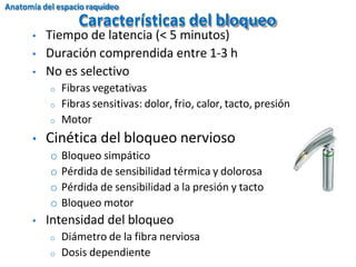 • Tiempo de latencia (< 5 minutos)
• Duración comprendida entre 1-3 h
• No es selectivo
o Fibras vegetativas
o Fibras sensitivas: dolor, frio, calor, tacto, presión
o Motor
• Cinética del bloqueo nervioso
o Bloqueo simpático
o Pérdida de sensibilidad térmica y dolorosa
o Pérdida de sensibilidad a la presión y tacto
o Bloqueo motor
• Intensidad del bloqueo
o Diámetro de la fibra nerviosa
o Dosis dependiente
Características del bloqueo
Anatomía del espacio raquídeo
 