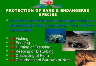 4242
PROTECTION OF RARE & ENDANGEREDPROTECTION OF RARE & ENDANGERED
SPECIESSPECIES
 In order to protect rare and endangered animals,In order to protect rare and endangered animals,
all employees and subcontractors must observeall employees and subcontractors must observe
the following:the following:
 NoNo FishingFishing
 NoNo FeedingFeeding
 NoNo Hunting or TrappingHunting or Trapping
 NoNo Keeping or DisturbingKeeping or Disturbing
 NoNo Destroying of FloraDestroying of Flora
 NoNo Disturbance of Burrows or NestsDisturbance of Burrows or Nests
 