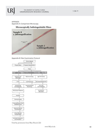 THE UNIVERSITY OF CENTRAL FLORIDA
UNDERGRADUATE RESEARCH JOURNAL
68www.URJ.ucf.edu
APPENDIX
Appendix A: Comparision Microscopy
Appendix B: Fiber Examination Protocol
Used by permission from Max Houck (22)
1: 58–71
 
