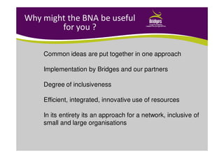 Why might the BNA be useful
for you ?
Common ideas are put together in one approach
Implementation by Bridges and our partners
Degree of inclusiveness
Efficient, integrated, innovative use of resources
In its entirety its an approach for a network, inclusive of
small and large organisations
 