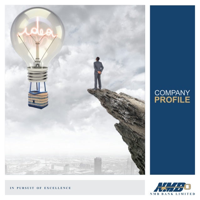 Nmb Bank Profile 2016