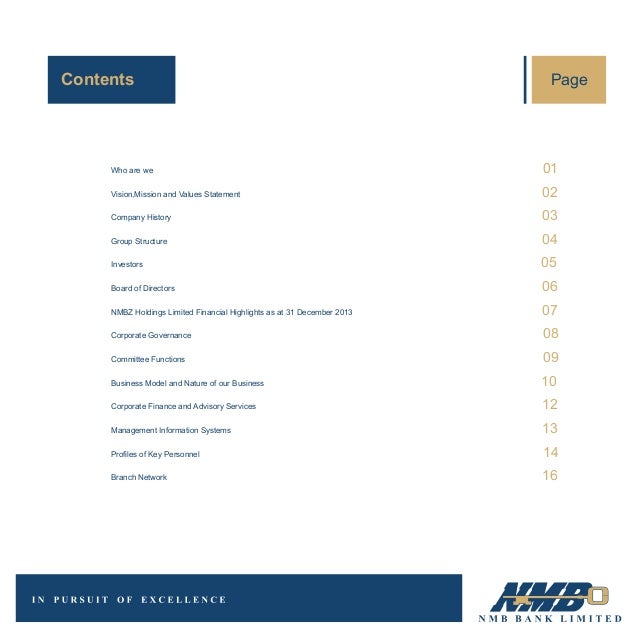 Nmb Bank Profile 2016