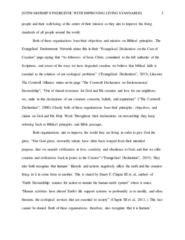 creation essay