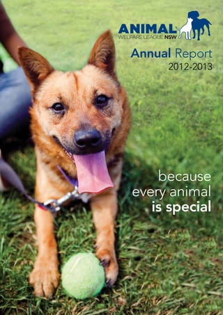 Annual Report
2012-2013
because
every animal
is special
 