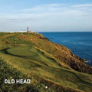 OLD HEAD 
9 
 