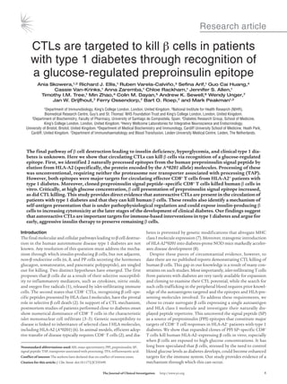 Research article
	 The Journal of Clinical Investigation      http://www.jci.org	 
CTLs are targeted to kill β cells in patients
with type 1 diabetes through recognition of
a glucose-regulated preproinsulin epitope
Ania Skowera,1,2 Richard J. Ellis,1 Ruben Varela-Calviño,3 Sefina Arif,1 Guo Cai Huang,4
Cassie Van-Krinks,1 Anna Zaremba,1 Chloe Rackham,1 Jennifer S. Allen,1
Timothy I.M. Tree,1 Min Zhao,4 Colin M. Dayan,5 Andrew K. Sewell,6 Wendy Unger,7
Jan W. Drijfhout,7 Ferry Ossendorp,7 Bart O. Roep,7 and Mark Peakman1,2
1Department of Immunobiology, King’s College London, London, United Kingdom. 2National Institute for Health Research (NIHR),
Biomedical Research Centre, Guy’s and St. Thomas’ NHS Foundation Trust and King’s College London, London, United Kingdom.
3Department of Biochemistry, Faculty of Pharmacy, University of Santiago de Compostela, Spain. 4Diabetes Research Group, School of Medicine,
King’s College London, London, United Kingdom. 5Henry Wellcome Laboratories for Integrative Neuroscience and Endocrinology,
University of Bristol, Bristol, United Kingdom. 6Department of Medical Biochemistry and Immunology, Cardiff University School of Medicine, Heath Park,
Cardiff, United Kingdom. 7Department of Immunohaematology and Blood Transfusion, Leiden University Medical Centre, Leiden, The Netherlands.
The final pathway of β cell destruction leading to insulin deficiency, hyperglycemia, and clinical type 1 dia-
betes is unknown. Here we show that circulating CTLs can kill β cells via recognition of a glucose-regulated
epitope. First, we identified 2 naturally processed epitopes from the human preproinsulin signal peptide by
elution from HLA-A2 (specifically, the protein encoded by the A*0201 allele) molecules. Processing of these
was unconventional, requiring neither the proteasome nor transporter associated with processing (TAP).
However, both epitopes were major targets for circulating effector CD8+ T cells from HLA-A2+ patients with
type 1 diabetes. Moreover, cloned preproinsulin signal peptide–specific CD8+ T cells killed human β cells in
vitro. Critically, at high glucose concentration, β cell presentation of preproinsulin signal epitope increased,
as did CTL killing. This study provides direct evidence that autoreactive CTLs are present in the circulation of
patients with type 1 diabetes and that they can kill human β cells. These results also identify a mechanism of
self-antigen presentation that is under pathophysiological regulation and could expose insulin-producing β
cells to increasing cytotoxicity at the later stages of the development of clinical diabetes. Our findings suggest
that autoreactive CTLs are important targets for immune-based interventions in type 1 diabetes and argue for
early, aggressive insulin therapy to preserve remaining β cells.
Introduction
The final molecular and cellular pathways leading to β cell destruc-
tion in the human autoimmune disease type 1 diabetes are not
known. Any resolution of this question must address the mecha-
nism through which insulin-producing β cells, but not adjacent,
non-β endocrine cells (α, δ, and PP cells secreting the hormones
glucagon, somatostatin, and pancreatic polypeptide), are singled
out for killing. Two distinct hypotheses have emerged. The first
proposes that β cells die as a result of their selective susceptibil-
ity to inflammatory mediators, such as cytokines, nitric oxide,
and oxygen free radicals (1), released by islet-infiltrating immune
cells. The second states that CD8+ CTLs, recognizing β cell–spe-
cific peptides presented by HLA class I molecules, have the pivotal
role in selective β cell death (2). In support of a CTL mechanism,
postmortem studies of patients performed close to diabetes onset
show numerical dominance of CD8+ T cells in the characteristic
islet mononuclear cell infiltrate (3–5). Genetic susceptibility to
disease is linked to inheritance of selected class I HLA molecules,
including HLA-A2 (A*0201) (6). In animal models, efficient adop-
tive transfer of disease typically requires CD8+ T cells (2), and dia-
betes is prevented by genetic modifications that abrogate MHC
class I molecule expression (7). Moreover, transgenic introduction
of HLA-A2*0201 into diabetes-prone NOD mice markedly acceler-
ates disease development (8).
Despite these pieces of circumstantial evidence, however, to
date there are no published reports demonstrating CTL killing of
human β cells. This gap in our knowledge is a result of many con-
straints on such studies. Most importantly, islet-infiltrating T cells
from patients with diabetes are very rarely available for expansion
and cloning to examine their CTL potential, while the search for
such cells trafficking in the peripheral blood requires prior knowl-
edge of the autoantigens targeted and the epitopes and HLA-pre-
senting molecules involved. To address these requirements, we
chose to create surrogate β cells expressing a single autoantigen
and HLA class I molecule and investigate their naturally dis-
played peptide repertoire. This uncovered the signal peptide (SP)
as a source of preproinsulin (PPI) epitopes that constitute major
targets of CD8+ T cell responses in HLA-A2+ patients with type 1
diabetes. We show that expanded clones of PPI SP–specific CD8+
T cells kill human HLA-A2–expressing β cells in vitro, especially
when β cells are exposed to high glucose concentrations. It has
long been speculated that β cells, stressed by the need to control
blood glucose levels as diabetes develops, could become enhanced
targets for the immune system. Our study provides evidence of a
mechanism through which this can occur.
Nonstandard abbreviations used: MS, mass spectrometry; PPI, preproinsulin; SP,
signal peptide; TAP, transporter associated with processing; TFA, trifluoroacetic acid.
Conflict of interest: The authors have declared that no conflict of interest exists.
Citation for this article: J. Clin. Invest. doi:10.1172/JCI35449.
 