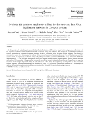 Evidence for common machinery utilized by the early and late RNA
localization pathways in Xenopus oocytes
Soheun Chooa,1
, Bianca Heinrichb,1
, J. Nicholas Betleyb
, Zhao Chenb
, James O. Deshlera,b,*
a
Molecular Biology and Biochemistry Program, Boston University, Boston, Massachusetts 02215, USA
b
Department of Biology, Boston University, 5 Cummington Street, Boston, Massachusetts 02215, USA
Received for publication 13 July 2004, revised 25 October 2004, accepted 27 October 2004
Available online 18 November 2004
Abstract
In Xenopus, an early and a late pathway exist for the selective localization of RNAs to the vegetal cortex during oogenesis. Previous work
has suggested that distinct cellular mechanisms mediate localization during these pathways. Here, we provide several independent lines of
evidence supporting the existence of common machinery for RNA localization during the early and late pathways. Data from RNA
microinjection assays show that early and late pathway RNAs compete for common localization factors in vivo, and that the same short RNA
sequence motifs are required for localization during both pathways. In addition, quantitative filter binding assays demonstrate that the late
localization factor Vg RBP/Vera binds specifically to several early pathway RNA localization elements. Finally, confocal imaging shows that
early pathway RNAs associate with a perinuclear microtubule network that connects to the mitochondrial cloud of stage I oocytes suggesting
that motor driven transport plays a role during the early pathway as it does during the late pathway. Taken together, our data indicate that
common machinery functions during the early and late pathways. Thus, RNA localization to the vegetal cortex may be a regulated process
such that differential interactions with basal factors determine when distinct RNAs are localized during oogenesis.
D 2004 Elsevier Inc. All rights reserved.
Keywords: RNA localization; Xenopus; Oocytes; Vg1 RBP; Vera; Vg1; Xcat-2; KH domain; Microtubules
Introduction
The subcellular localization of specific mRNAs to
distinct regions of a cell is an important mechanism for
generating asymmetric gene expression in germ cells and
somatic cells (Kloc et al., 2001; Palacios and St. Johnston,
2001), and the sequences that specify localization generally
reside in the 3V untranslated region (3V UTR) of localized
transcripts. In Xenopus, two temporally defined pathways
exist for localizing specific RNAs to the vegetal cortex
during oogenesis (Forristall et al., 1995; Kloc and Etkin,
1995). RNAs that utilize the early pathway, such as Xcat-2,
are distributed uniformly throughout the cytoplasm of early
stage I oocytes (50–100 Am diameter), but become localized
to the mitochondrial cloud in later stage I oocytes (120–300
Am diameter) and subsequently associate with the vegetal
cortex of stage II oocytes (Zhou and King, 1996a).
Additional examples of RNAs that use the early pathway
include Xpat (Hudson and Woodland, 1998), Xwnt-11 (Ku
and Melton, 1993), DEADSouth (MacArthur et al., 2000)
Xdazl (Houston et al., 1998), and Xlsirts (Kloc et al., 1993).
Treatment of stage I oocytes with microtubule depolymeriz-
ing drugs has little or no effect on the distribution of
endogenous early pathway RNAs associated with the
mitochondrial cloud which has led to a view that the early
pathway functions independently of microtubules (Kloc and
Etkin, 1995).
The late or Vg1 pathway begins when Xcat-2 and other
early RNAs become associated with the vegetal cortex. In
early and late stage I oocytes, Vg1 is distributed throughout
the cytoplasm and little is detected in the mitochondrial
cloud (Betley et al., 2002; Forristall et al., 1995; Kloc and
Etkin, 1995). In stage II oocytes, endogenous Vg1 becomes
0012-1606/$ - see front matter D 2004 Elsevier Inc. All rights reserved.
doi:10.1016/j.ydbio.2004.10.019
* Corresponding author. Department of Biology, Boston University, 5
Cummington Street, Boston, MA 02215. Fax: +1 617 353 8484.
E-mail address: jdeshler@bu.edu (J.O. Deshler).
1
These two authors contributed equally to this work.
Developmental Biology 278 (2005) 103–117
www.elsevier.com/locate/ydbio
 
