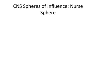 CNS Spheres of Influence: Nurse Sphere 