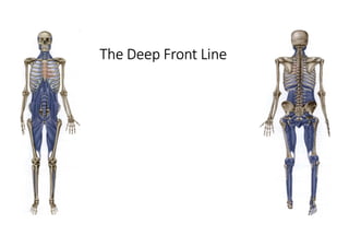 1 fascia basics | PDF