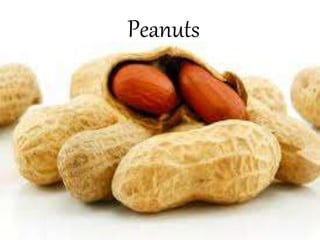 Peanuts
 