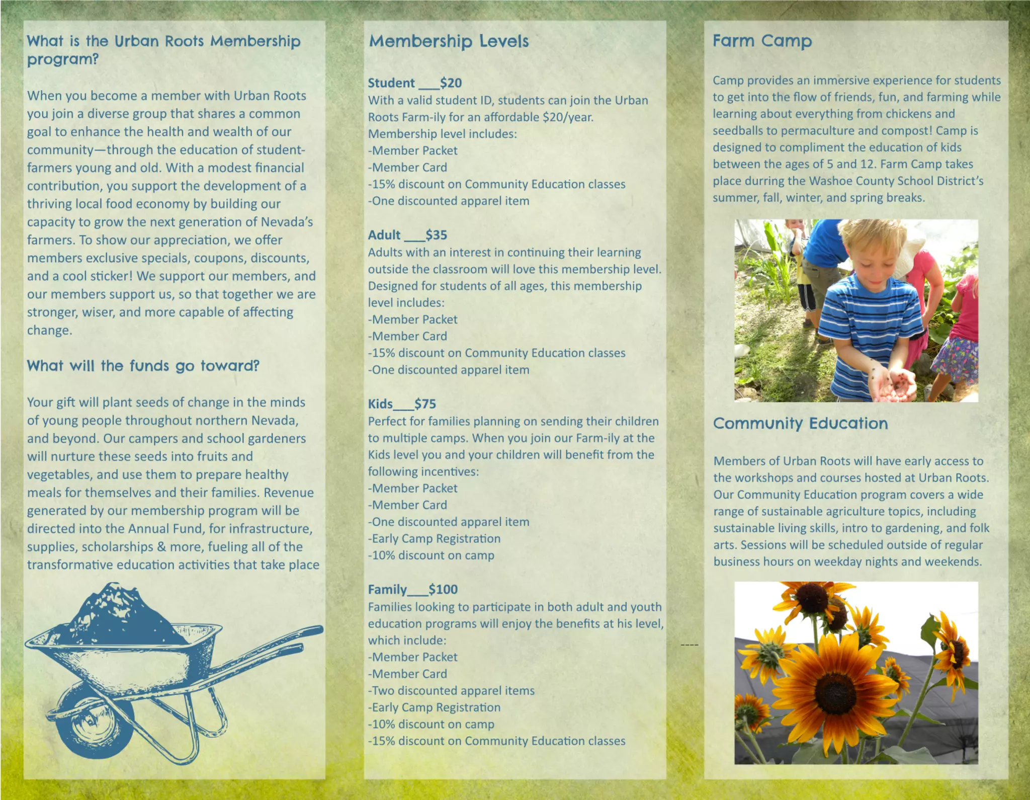 Membership Program Brochure | PDF