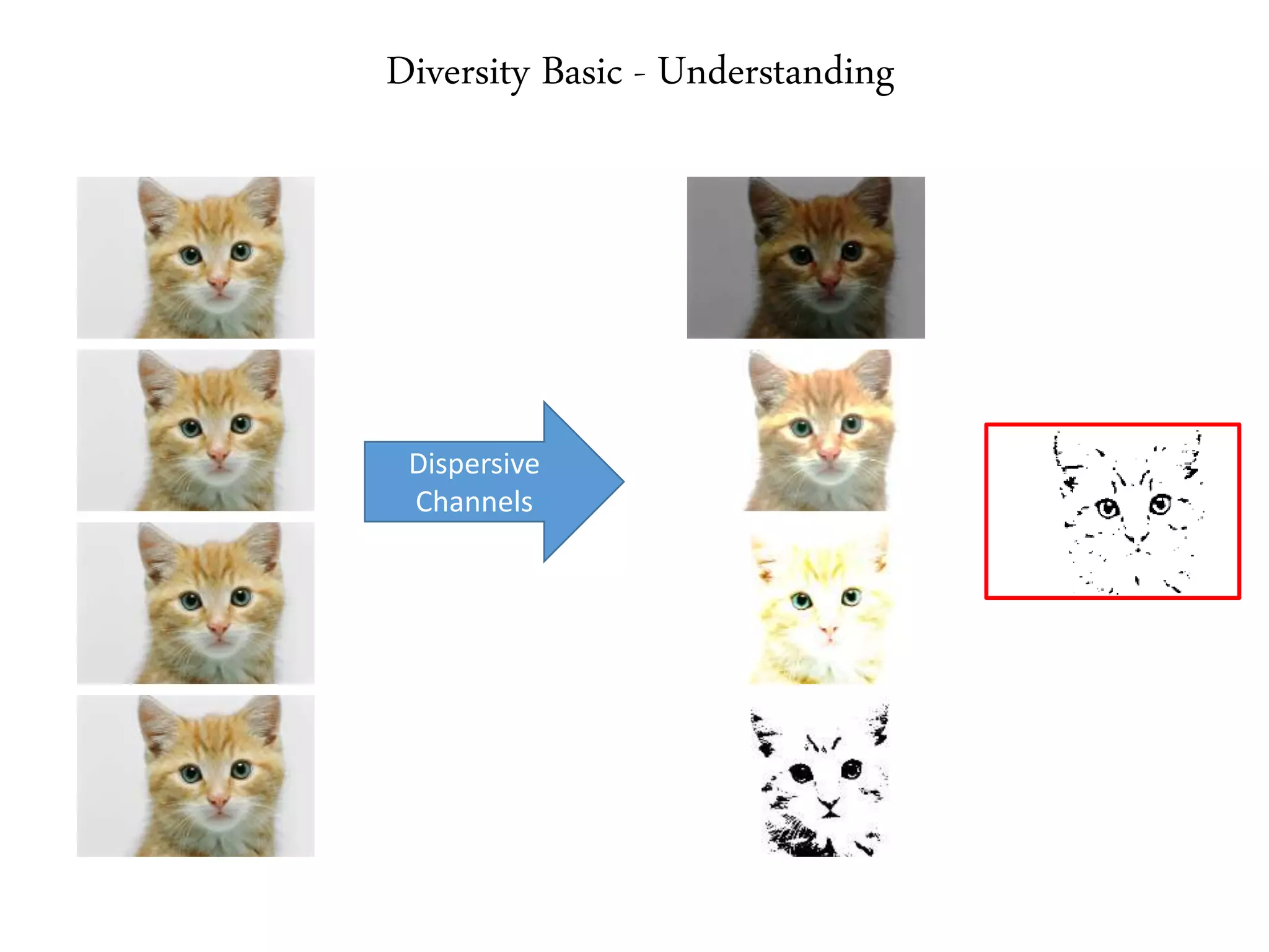 Diversity Basic - Understanding
Dispersive
Channels
 