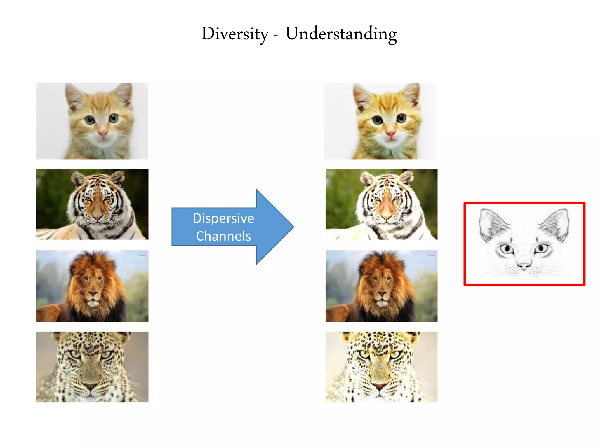 Diversity - Understanding
Dispersive
Channels
 