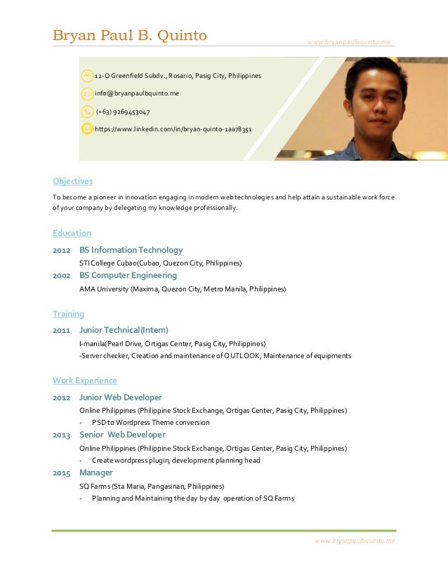 website developer resume