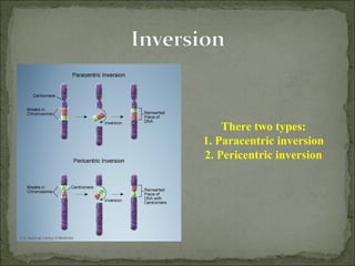 There two types:
1. Paracentric inversion
2. Pericentric inversion
 