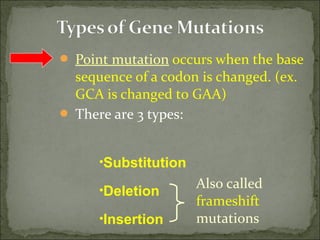  Point mutation occurs when the base
sequence of a codon is changed. (ex.
GCA is changed to GAA)
 There are 3 types:
Also called
frameshift
mutations
•Substitution
•Deletion
•Insertion
 