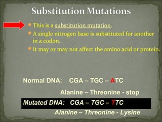 This is a substitution mutation.
A single nitrogen base is substituted for another
in a codon.
It may or may not affect the amino acid or protein.
Mutated DNA: CGA – TGC – TTC
Alanine – Threonine - Lysine
Normal DNA: CGA – TGC – ATC
Alanine – Threonine - stop
 