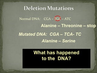 What will happen to the
amino acids?
Mutated DNA: CGA – TCA- TC
A guanine was deleted,
thereby pushing all the
bases down a frame.
Alanine – Threonine – stop
Alanine – Serine
Normal DNA: CGA – TGC – ATC
This is called a deletion
mutation, also a type of
frameshift mutation.
What has happened
to the DNA?
 