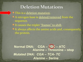 This is a deletion mutation.
A nitrogen base is deleted/removed from the
sequence.
It causes the triplet “frames” to shift.
It always affects the amino acids and, consequently,
the protein.
Mutated DNA: CGA – TCA- TC
Alanine – Threonine – stop
Alanine – Serine
Normal DNA: CGA – TGC – ATC
 
