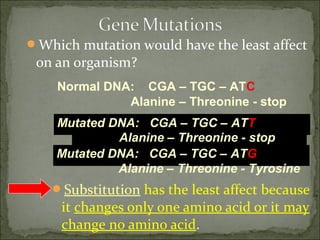 Which mutation would have the least affect
on an organism?
Substitution has the least affect because
it changes only one amino acid or it may
change no amino acid.
Mutated DNA: CGA – TGC – ATT
Alanine – Threonine - stop
Normal DNA: CGA – TGC – ATC
Alanine – Threonine - stop
Mutated DNA: CGA – TGC – ATG
Alanine – Threonine - Tyrosine
 