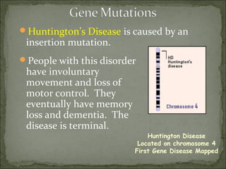 Huntington’s Disease is caused by an
insertion mutation.
People with this disorder
have involuntary
movement and loss of
motor control. They
eventually have memory
loss and dementia. The
disease is terminal.
Huntington Disease
Located on chromosome 4
First Gene Disease Mapped
 