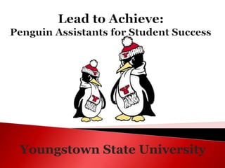 Youngstown State University
 