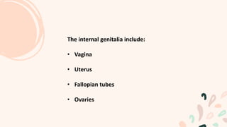 The internal genitalia include:
• Vagina
• Uterus
• Fallopian tubes
• Ovaries
 