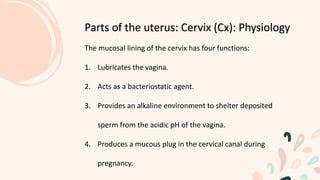 The mucosal lining of the cervix has four functions:
1. Lubricates the vagina.
2. Acts as a bacteriostatic agent.
3. Provides an alkaline environment to shelter deposited
sperm from the acidic pH of the vagina.
4. Produces a mucous plug in the cervical canal during
pregnancy.
Parts of the uterus: Cervix (Cx): Physiology
 